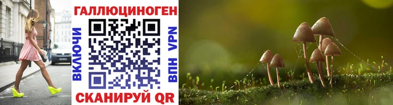 Купить  Орёл  Галлюциногенные грибы Cubensis 